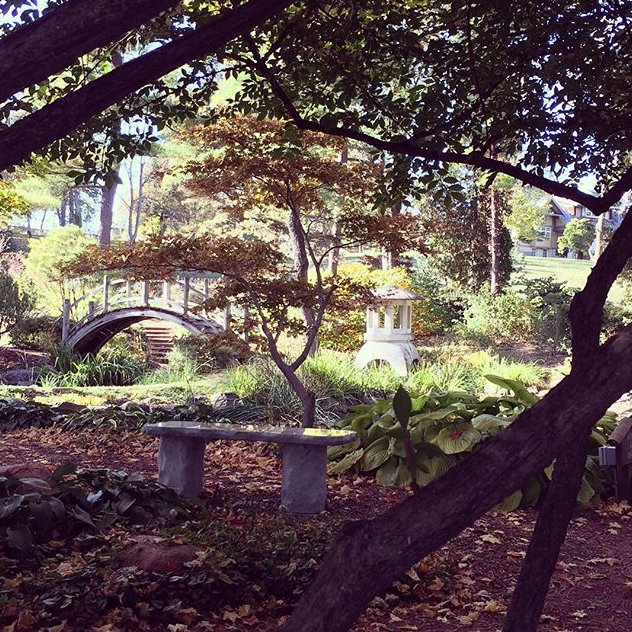 Fabyan Forest Preserve - @brittamckenna